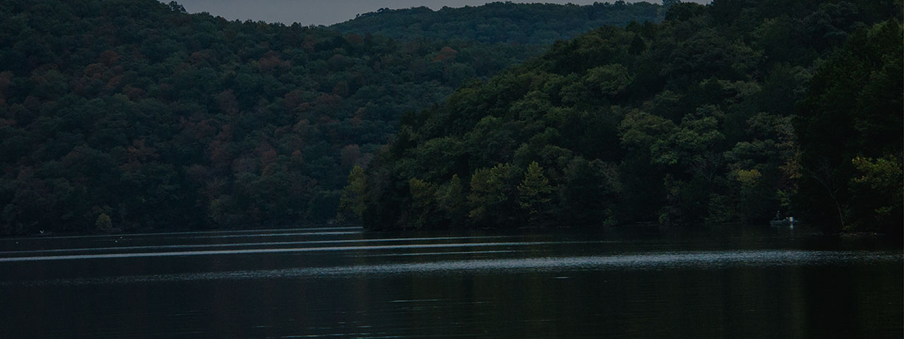 Picture of Lake of the Ozarks