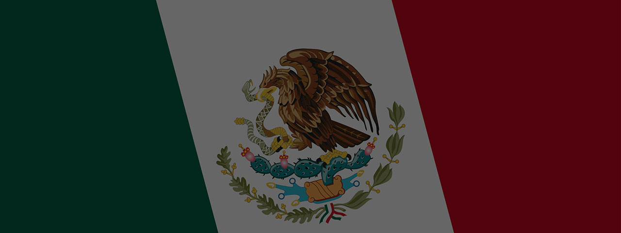 Flag of Mexico - Banner