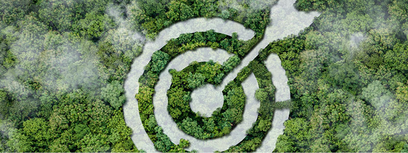 Birdseye view of forest with a target icon