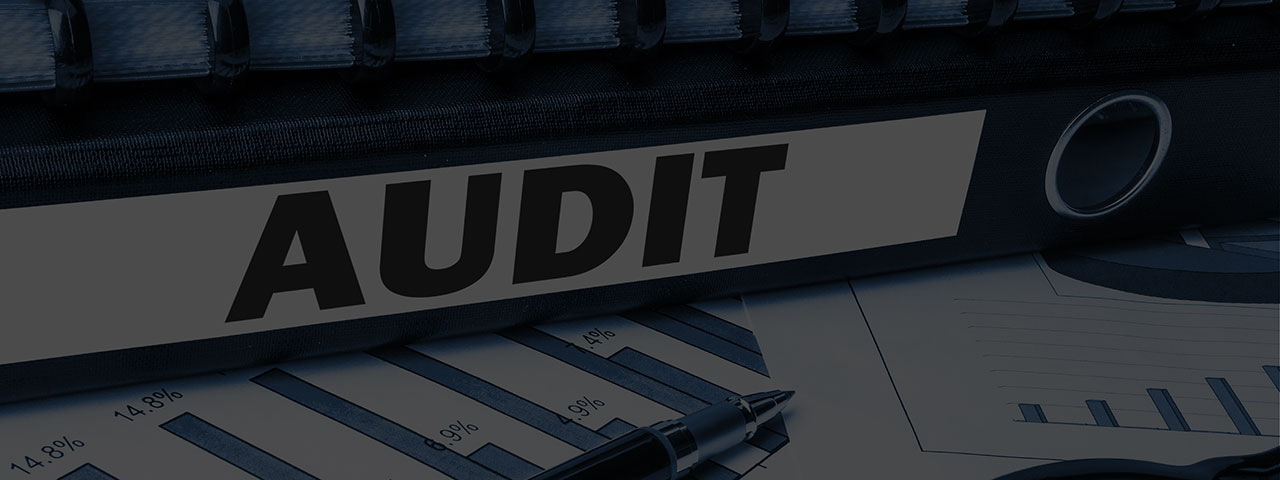 Ready or Not, Here Comes the Annual Audit!