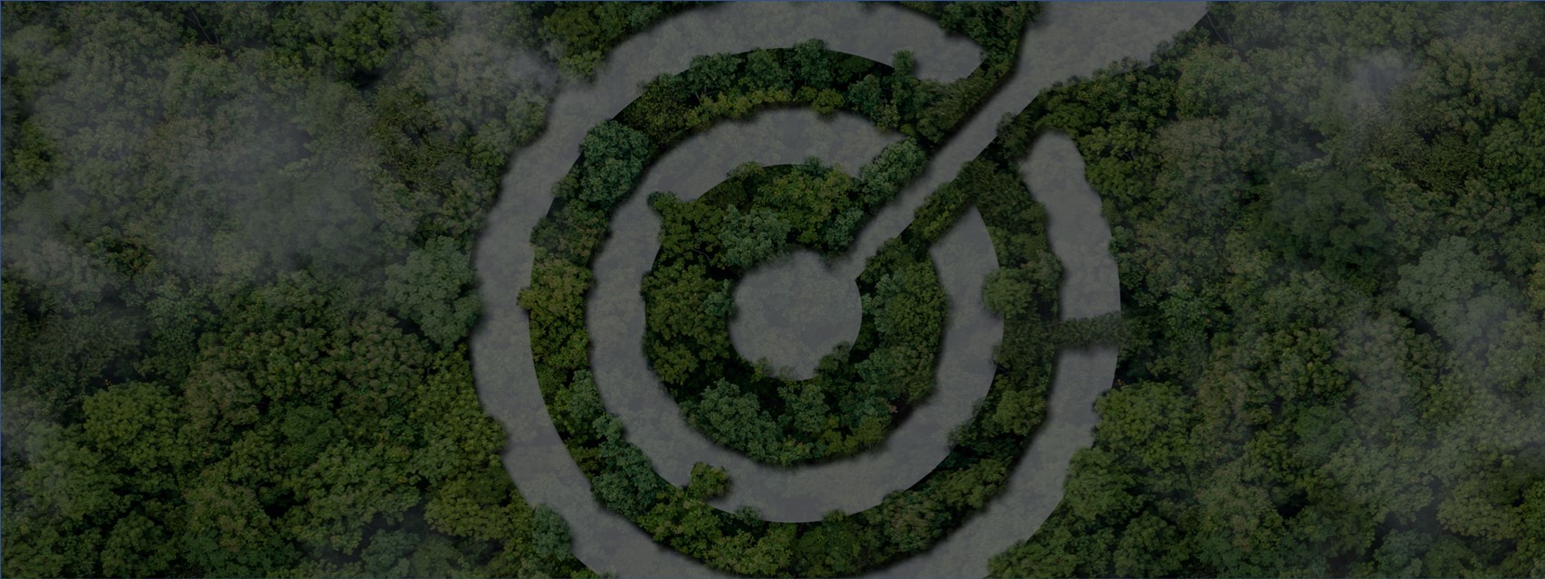 birds-eye view of forest with image of arrow and target superimposed over it