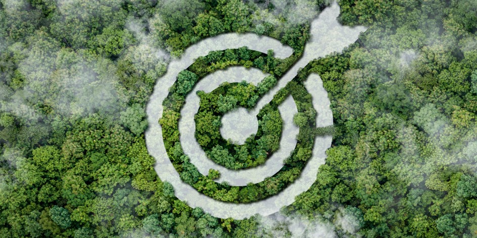 birds-eye view of forest with image of arrow and target superimposed over it